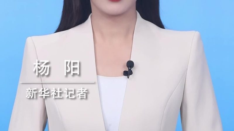 企业在选择“高新技术企业”与“专精特新”时，可从以下方面进行考量：